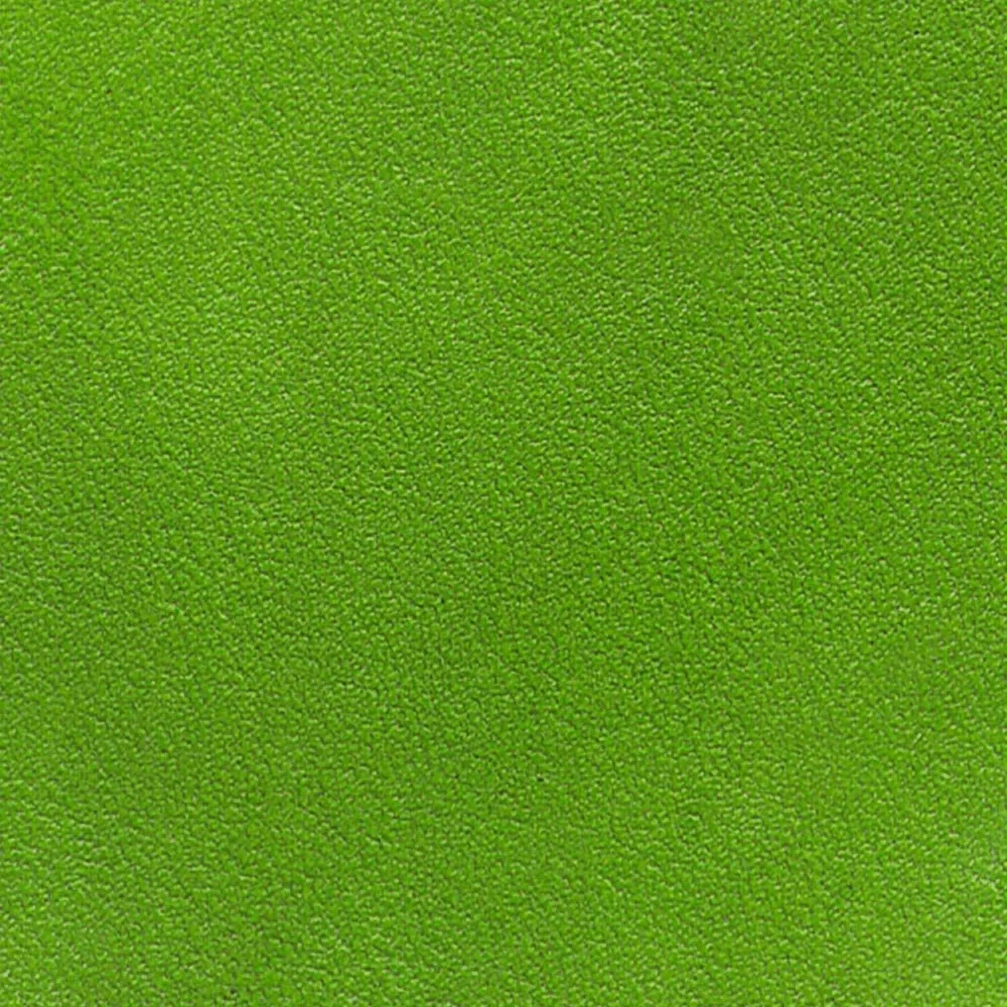 Kelly Green Leather Dye - Image 2